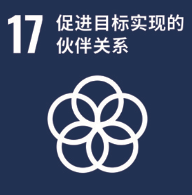 SDG 17 ����Ŀ��ʵ�ֵ�ͬ���ϵ